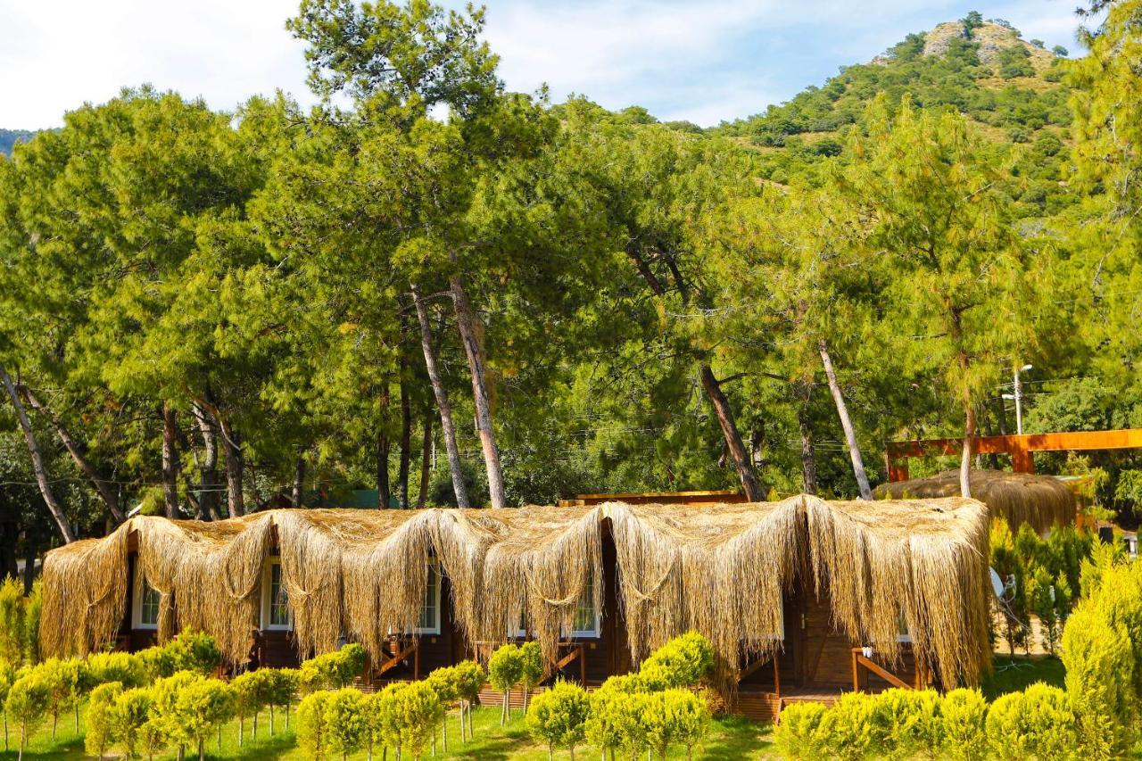 אולודניץ Green Pine Bungalows & Beach Luxury Concept מראה חיצוני תמונה