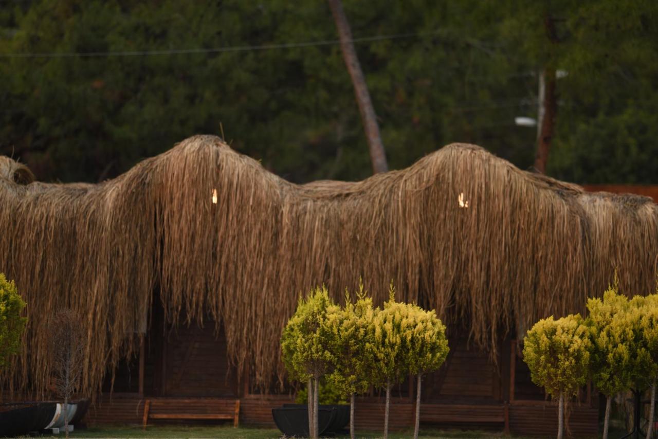 אולודניץ Green Pine Bungalows & Beach Luxury Concept מראה חיצוני תמונה