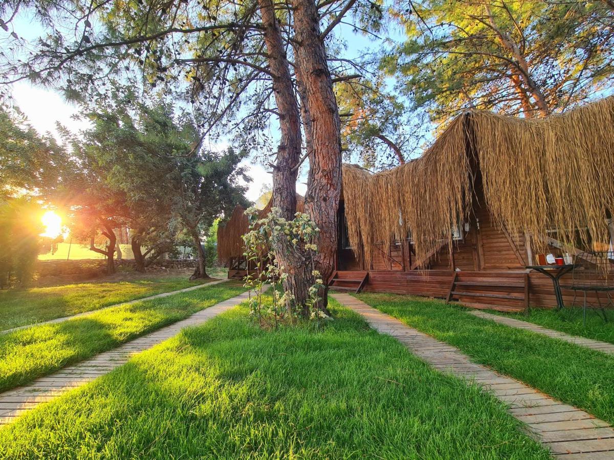 אולודניץ Green Pine Bungalows & Beach Luxury Concept מראה חיצוני תמונה
