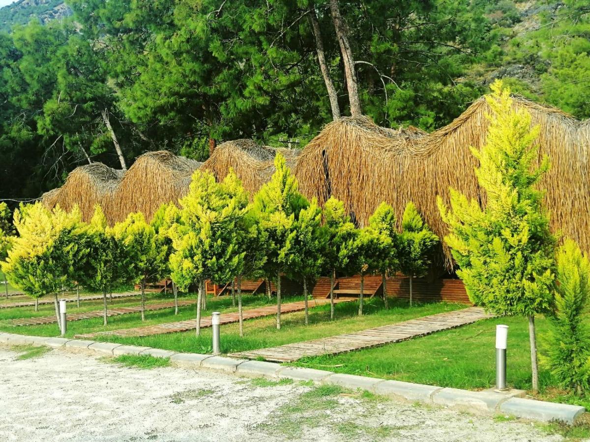 אולודניץ Green Pine Bungalows & Beach Luxury Concept מראה חיצוני תמונה