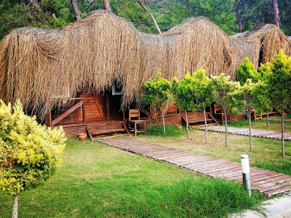 אולודניץ Green Pine Bungalows & Beach Luxury Concept מראה חיצוני תמונה