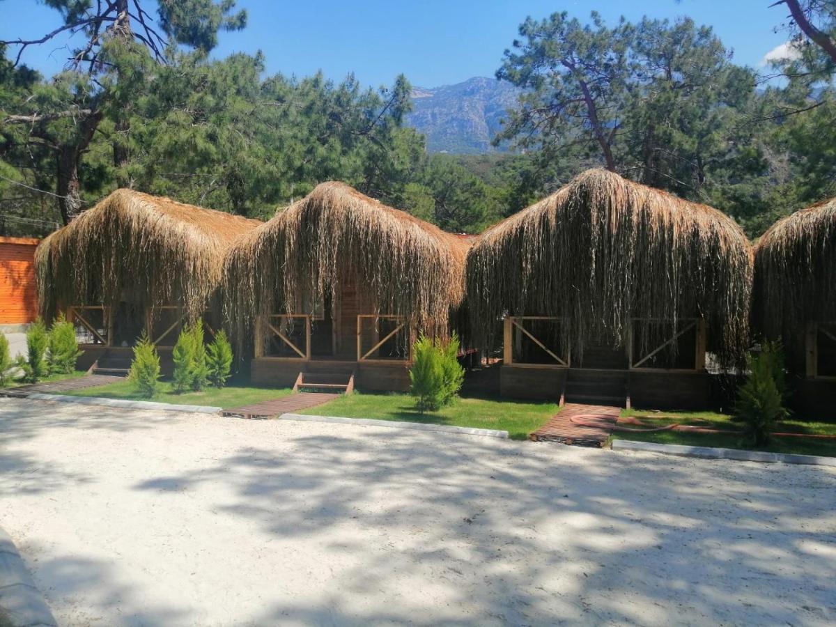 אולודניץ Green Pine Bungalows & Beach Luxury Concept מראה חיצוני תמונה