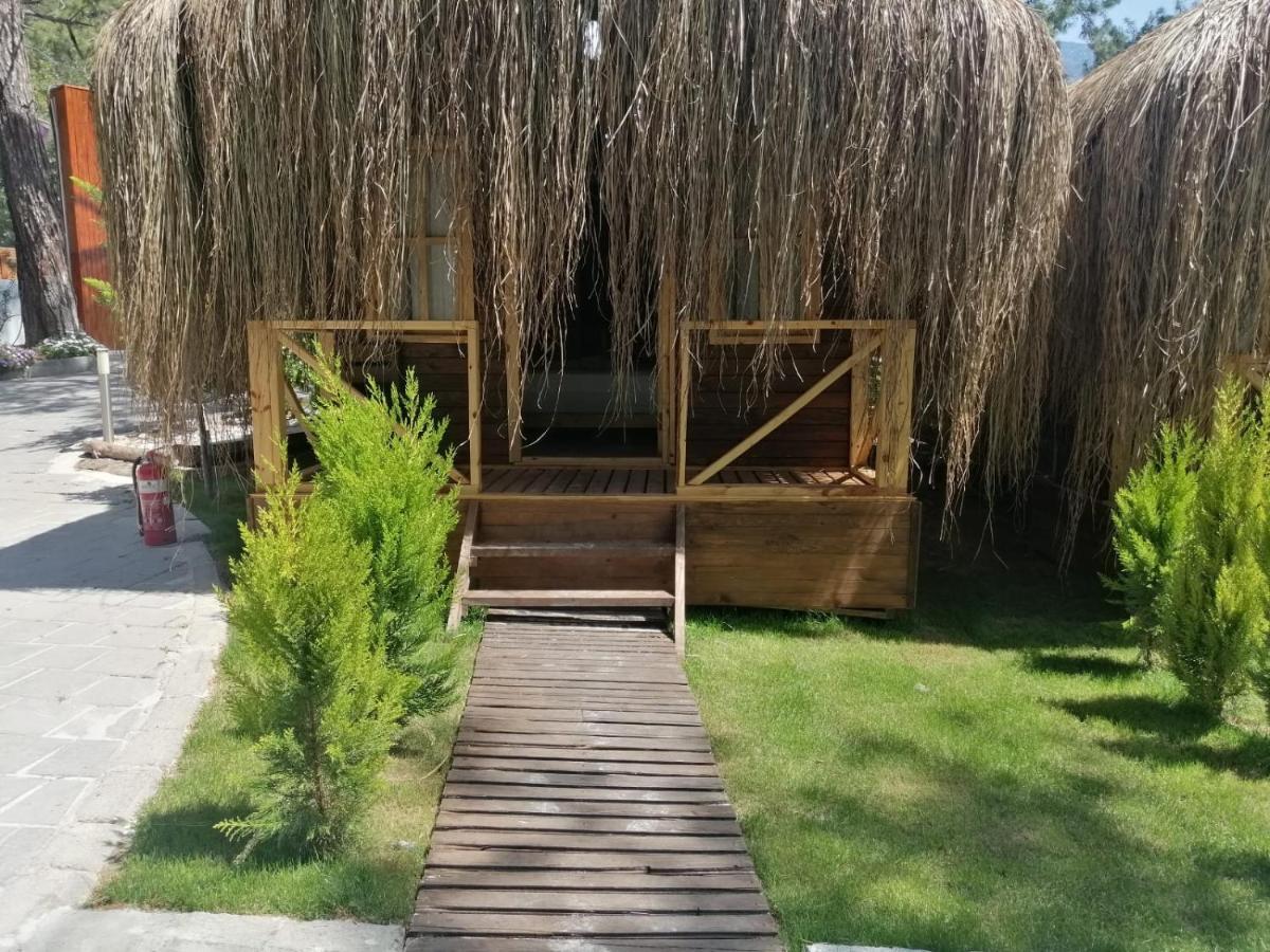 אולודניץ Green Pine Bungalows & Beach Luxury Concept מראה חיצוני תמונה