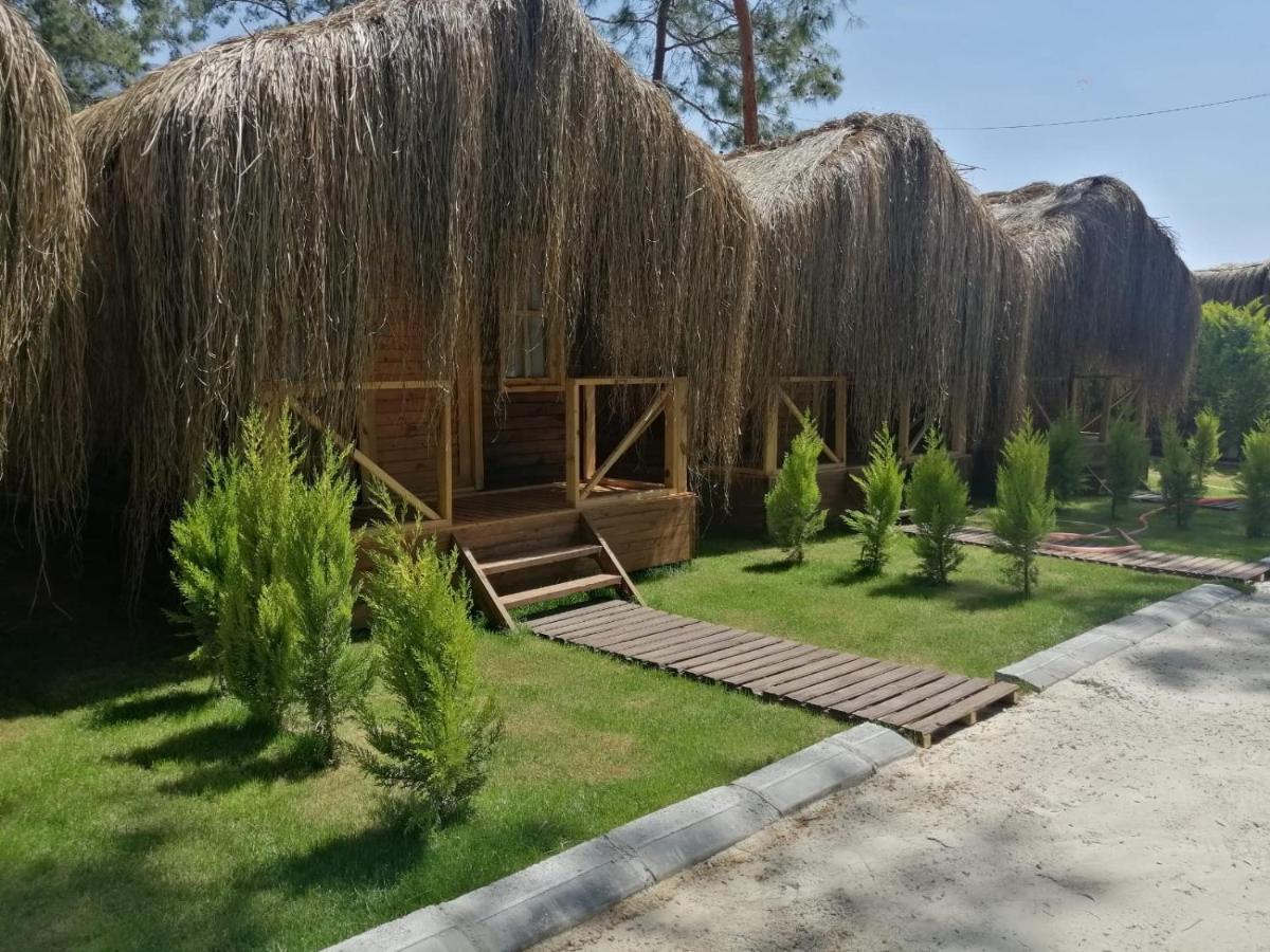 אולודניץ Green Pine Bungalows & Beach Luxury Concept מראה חיצוני תמונה
