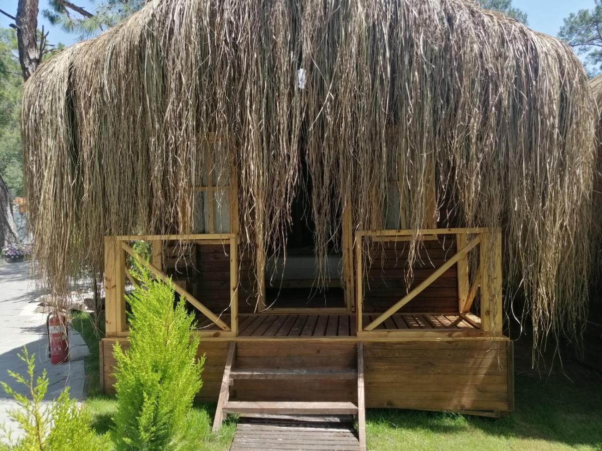 אולודניץ Green Pine Bungalows & Beach Luxury Concept מראה חיצוני תמונה