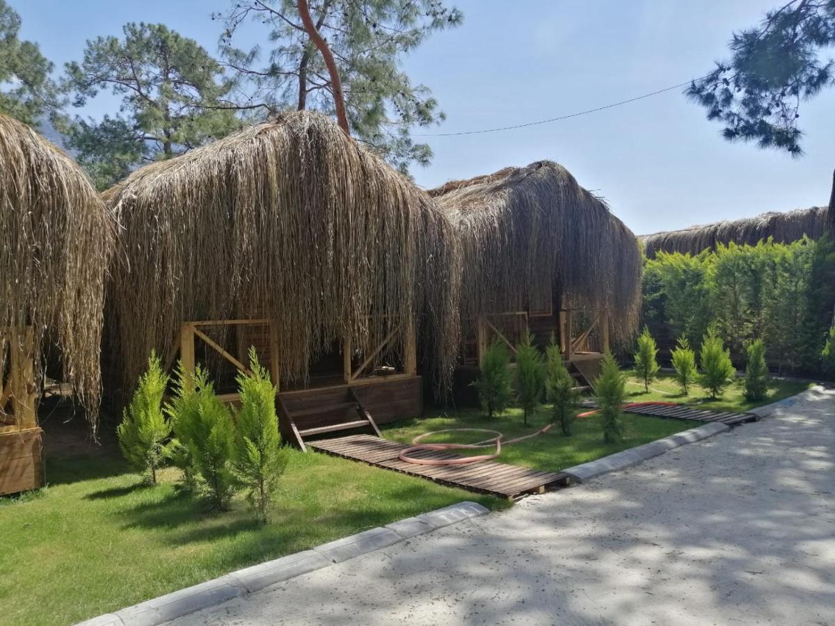 אולודניץ Green Pine Bungalows & Beach Luxury Concept מראה חיצוני תמונה
