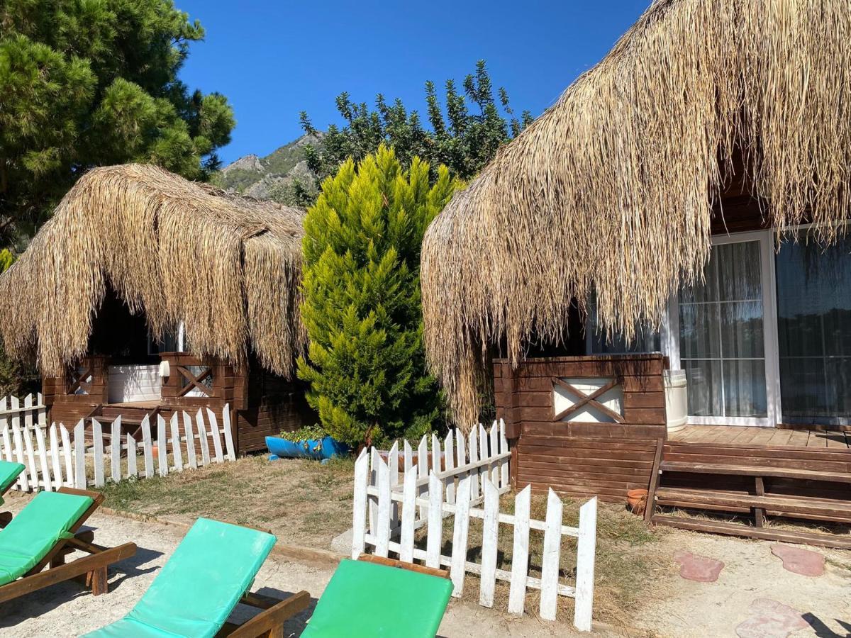 אולודניץ Green Pine Bungalows & Beach Luxury Concept מראה חיצוני תמונה