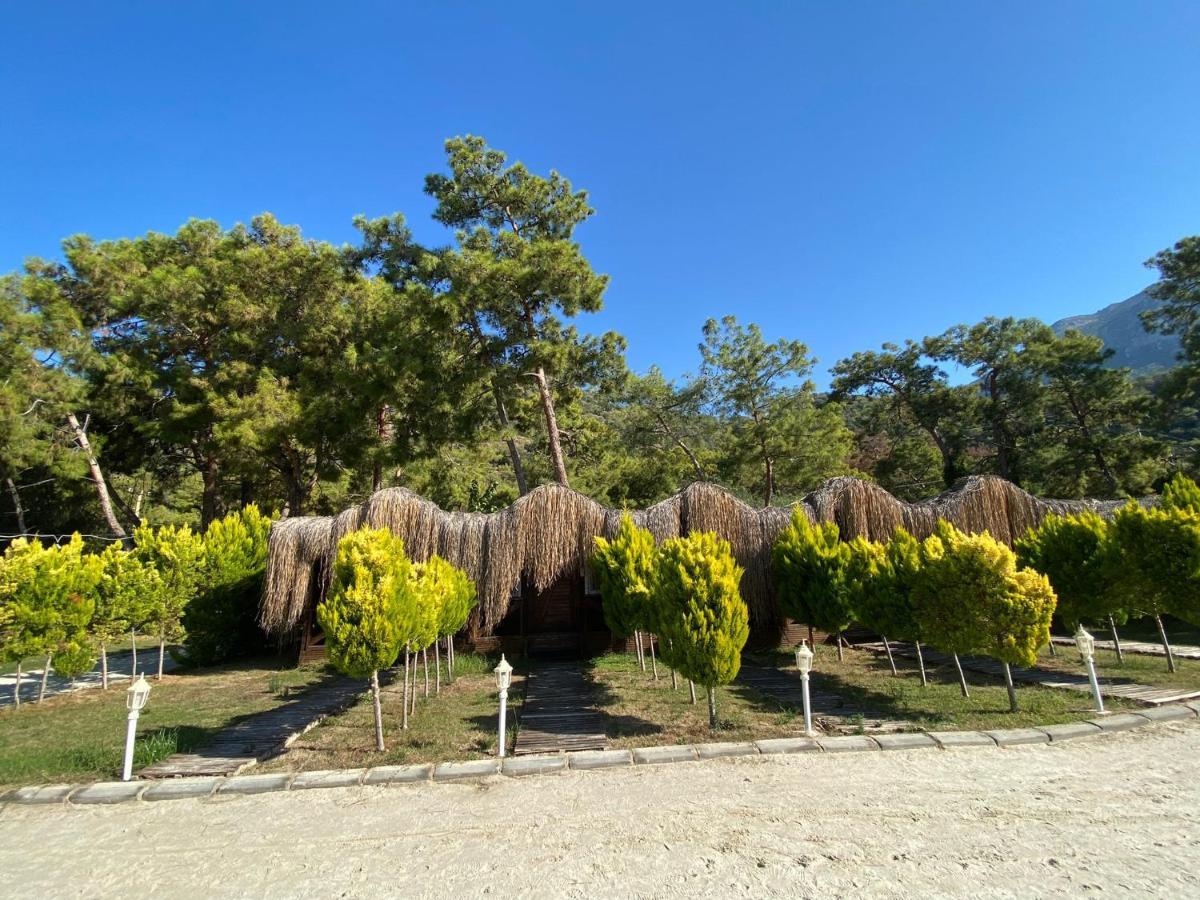 אולודניץ Green Pine Bungalows & Beach Luxury Concept מראה חיצוני תמונה