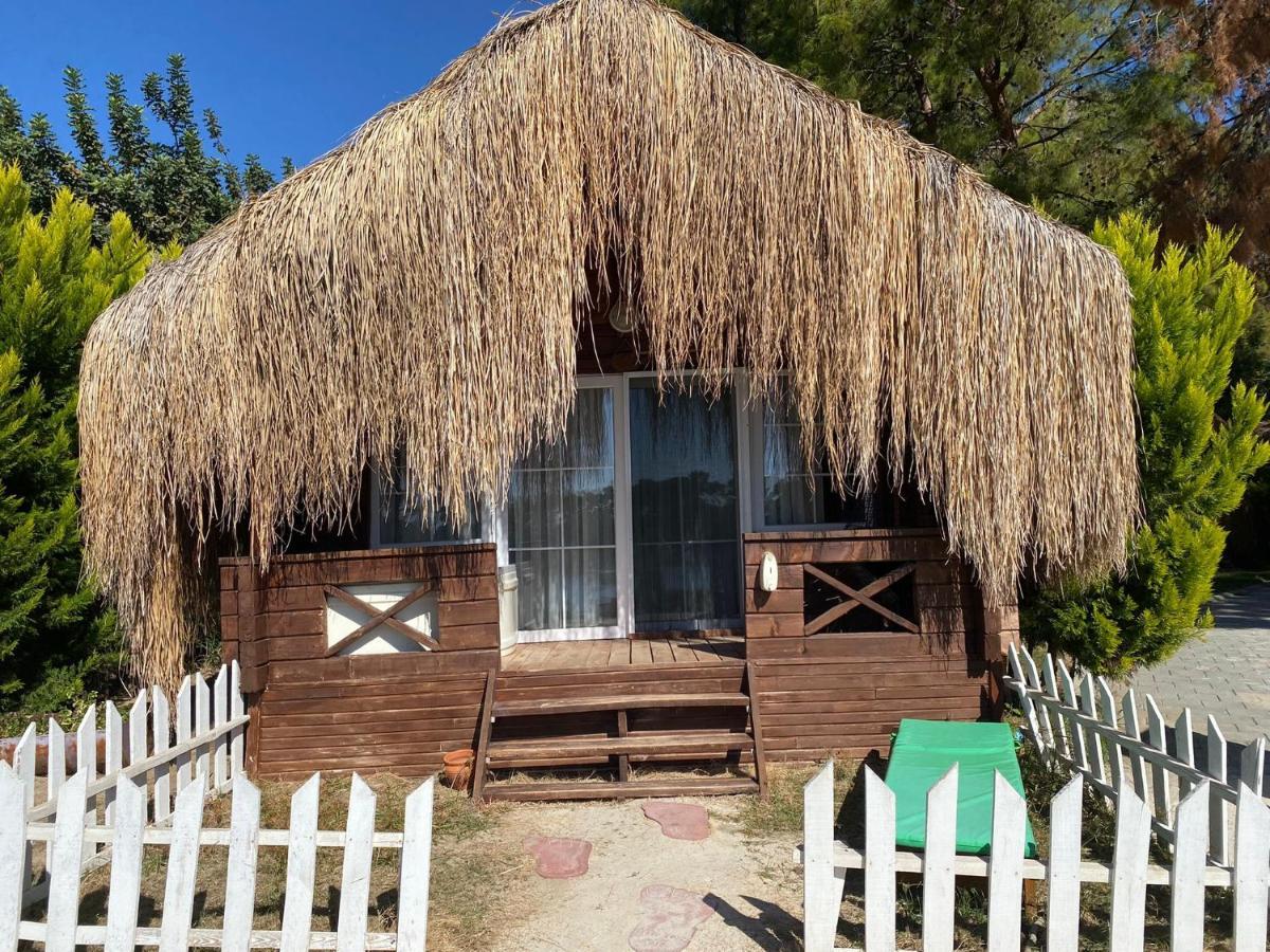 אולודניץ Green Pine Bungalows & Beach Luxury Concept מראה חיצוני תמונה